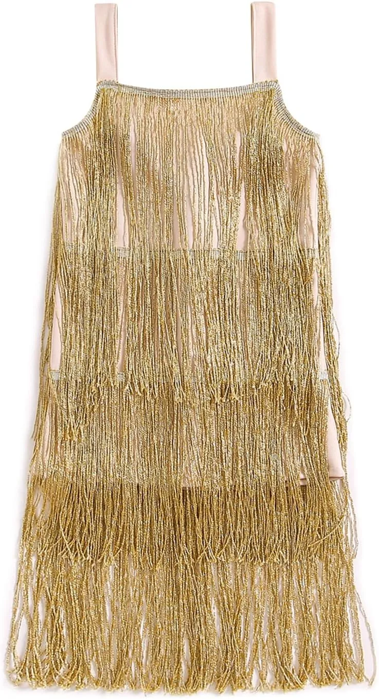 Toddler Kids Girls Sleeveless Sequin Fringe Dress Zip Back Little Girls Tasseled Sparkling Party Latin Dance Dress