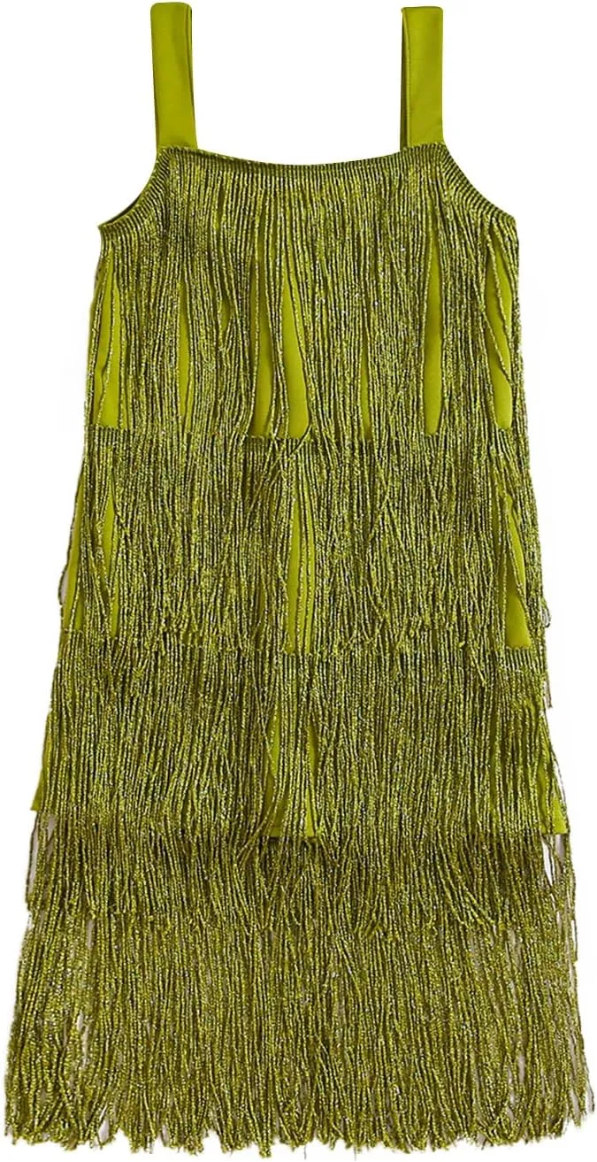 Toddler Kids Girls Sleeveless Sequin Fringe Dress Zip Back Little Girls Tasseled Sparkling Party Latin Dance Dress