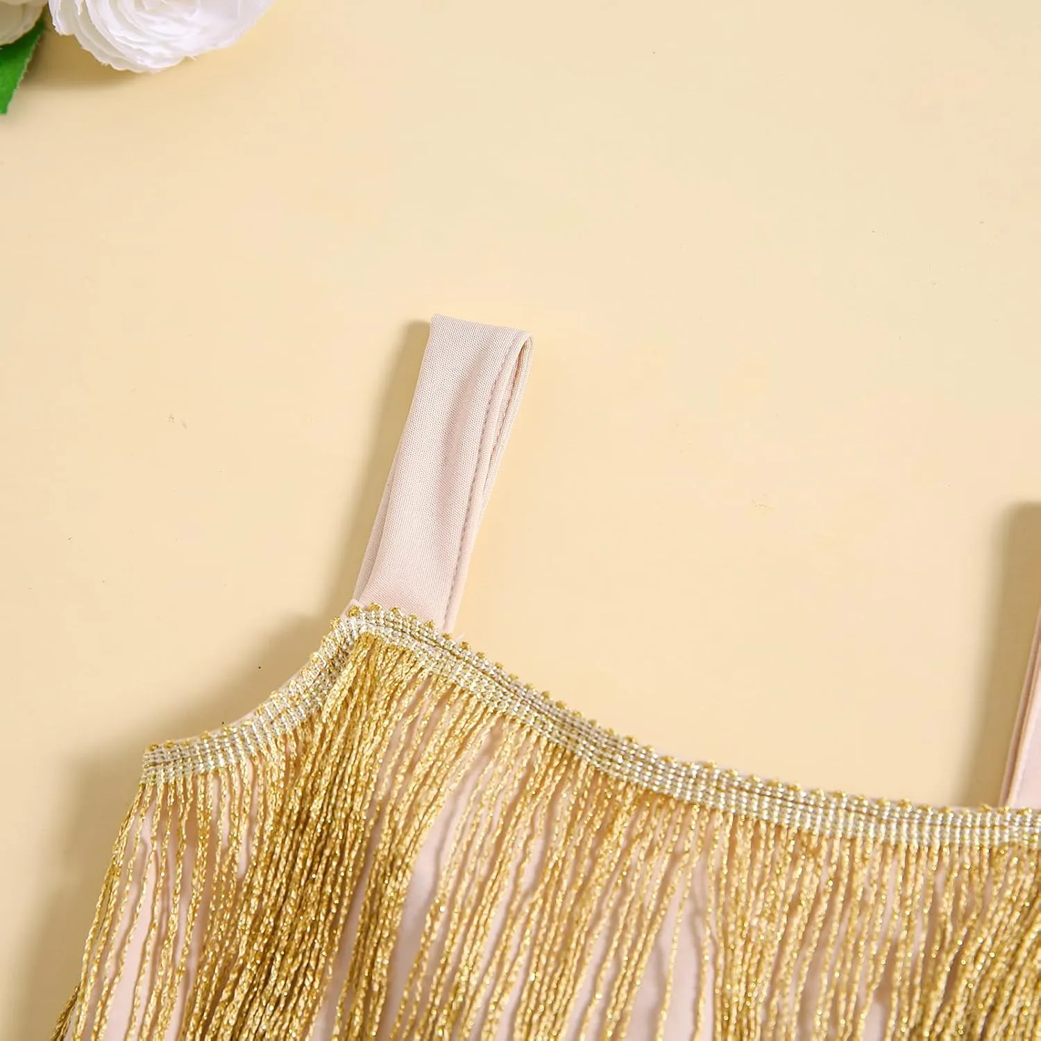 Toddler Kids Girls Sleeveless Sequin Fringe Dress Zip Back Little Girls Tasseled Sparkling Party Latin Dance Dress