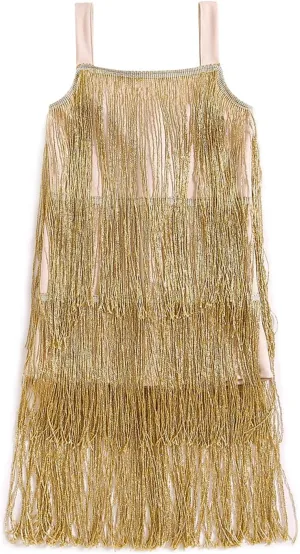 Toddler Kids Girls Sleeveless Sequin Fringe Dress Zip Back Little Girls Tasseled Sparkling Party Latin Dance Dress