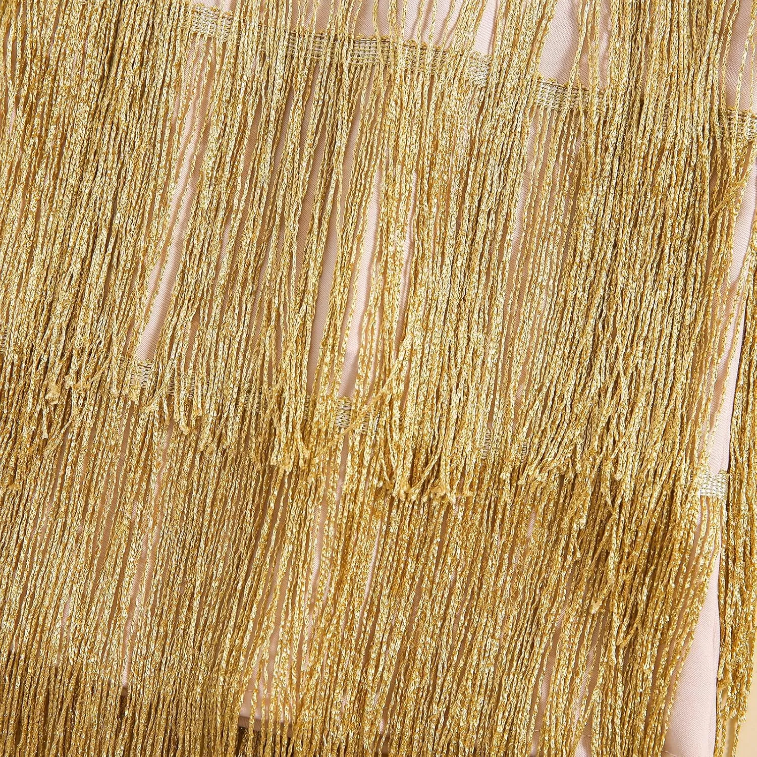 Toddler Kids Girls Sleeveless Sequin Fringe Dress Zip Back Little Girls Tasseled Sparkling Party Latin Dance Dress